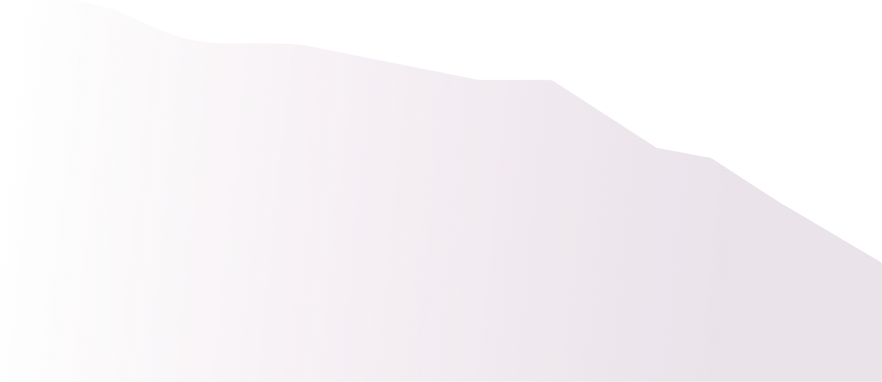 performance-audit