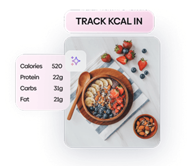 track-kcal-in